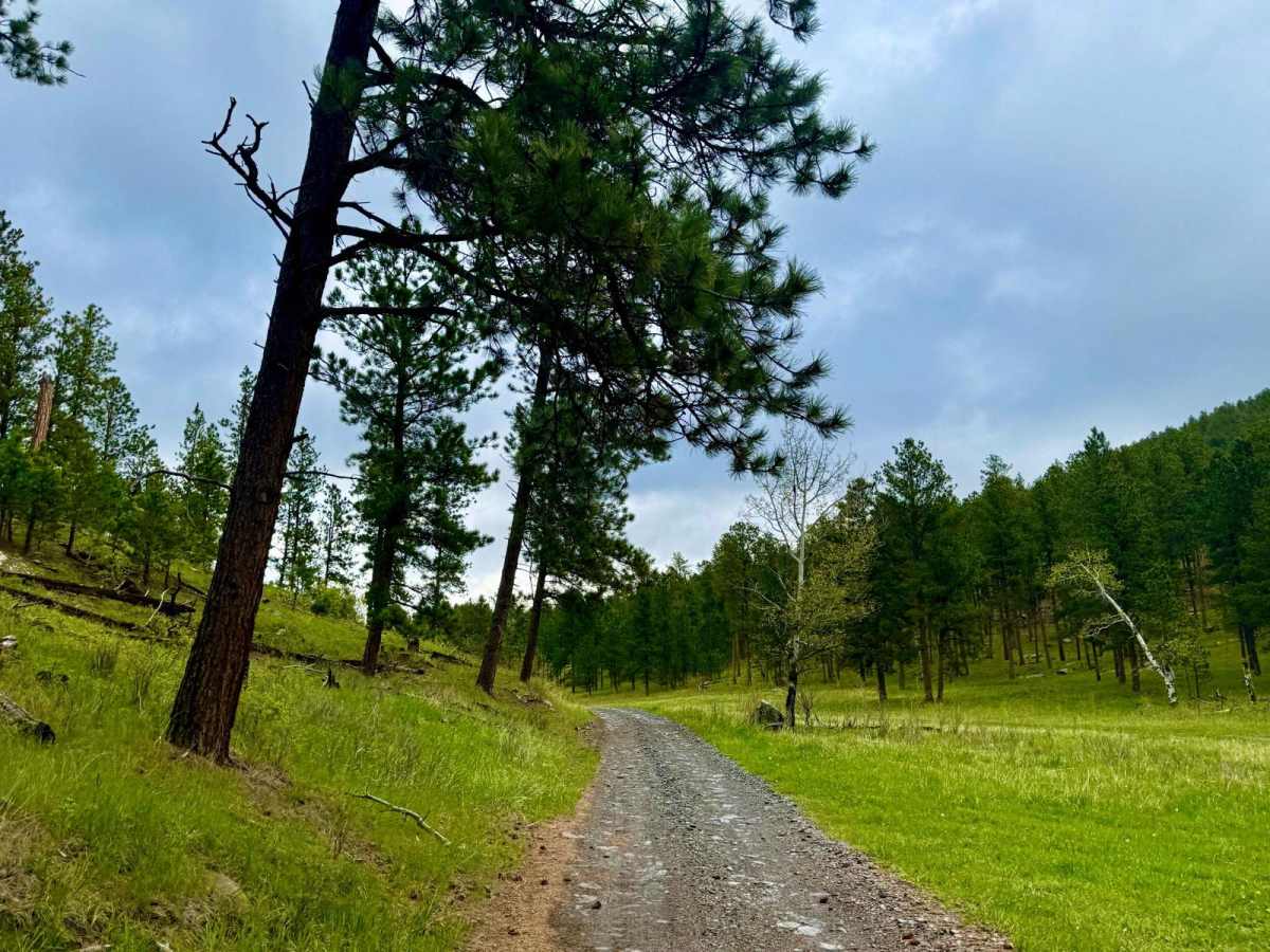 Newton 33 trail photo