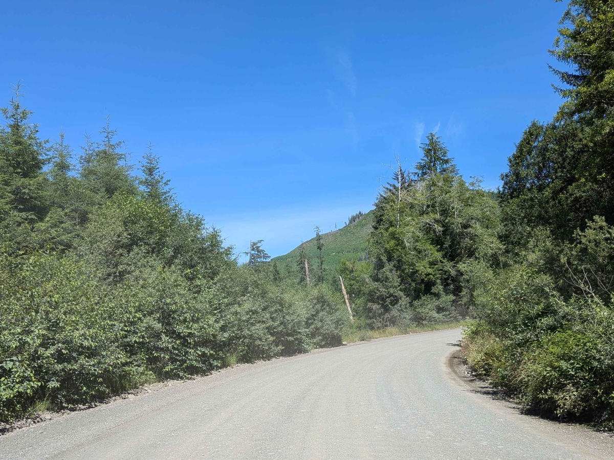 North Shore Main trail photo