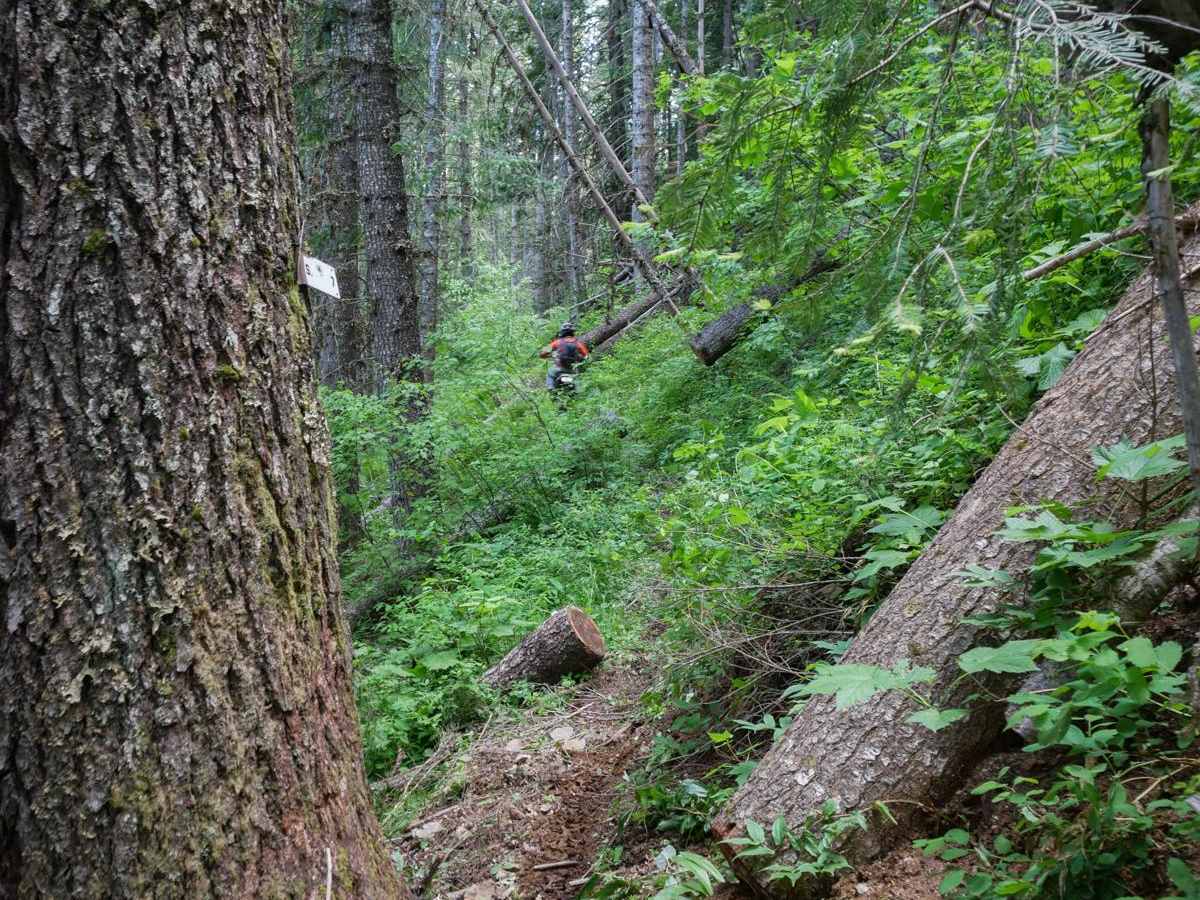 Cabin Point photo 6