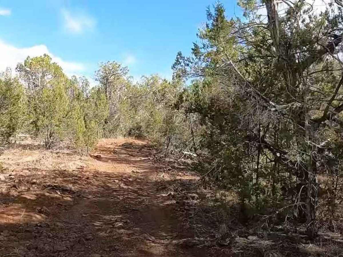 Snap Point BLM 1680 photo 5