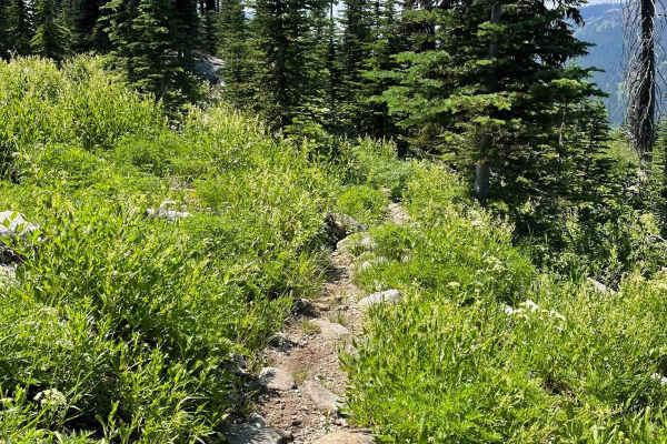 Hidden Lake Loop