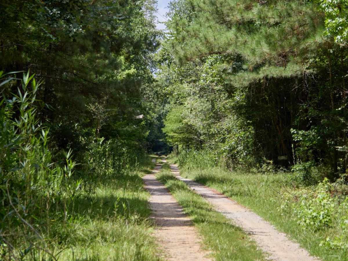 Jordan Lake Access photo 5