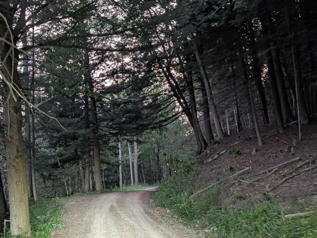 Walker Road photo 3