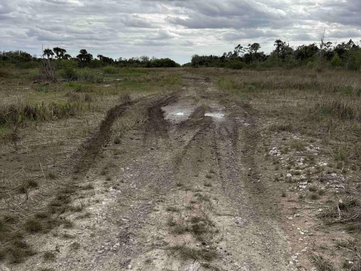 Boundary Trail photo 3