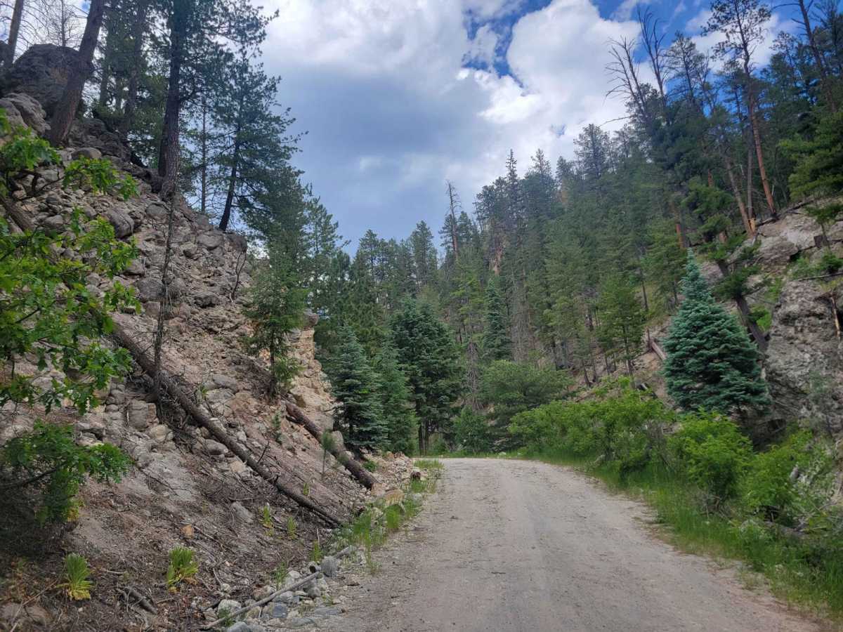 Sulphur Springs Road trail photo