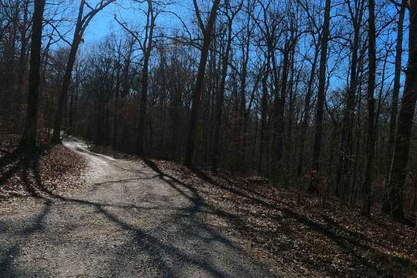 Gray Cemetery Road - FS 313