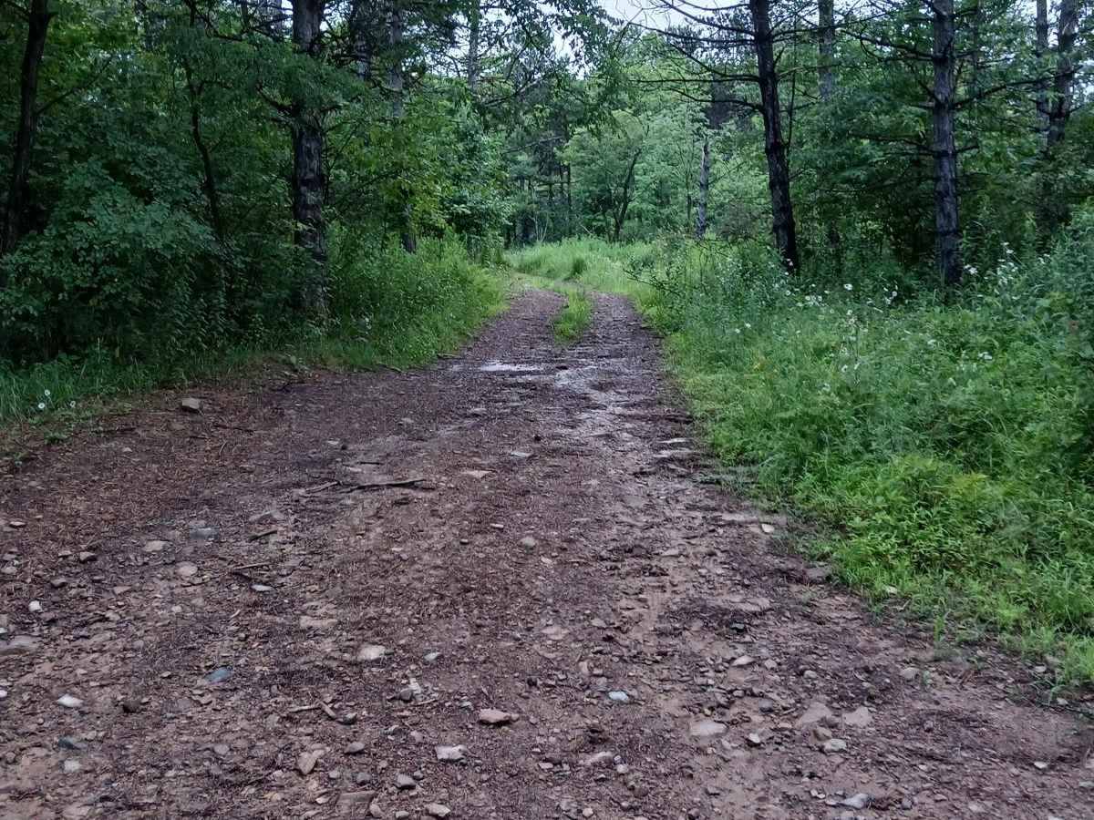 Trail 12U - Rock Run Recreation Area photo 5