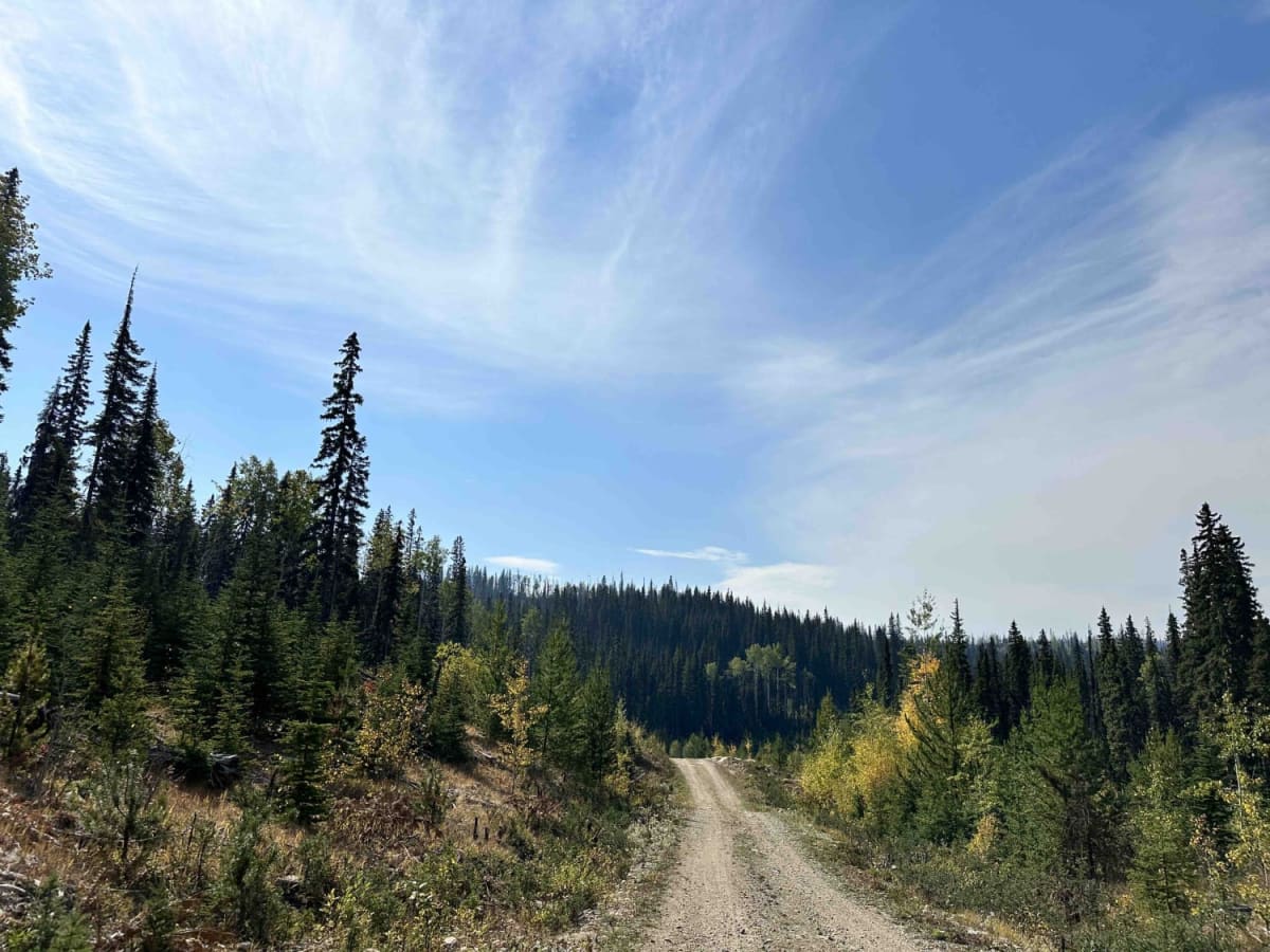 Sterling Forest Service Road photo 5