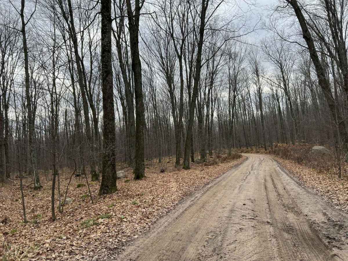 Florence County Trail H- Northwoods Drive photo 2