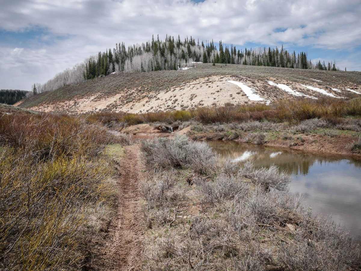 Rock Spring #083 trail photo
