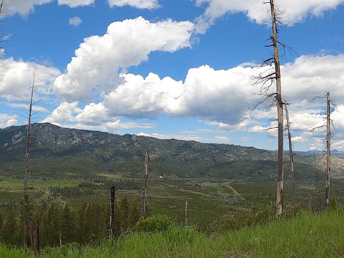 Boise National Forest #254 McCann Trail photo 3