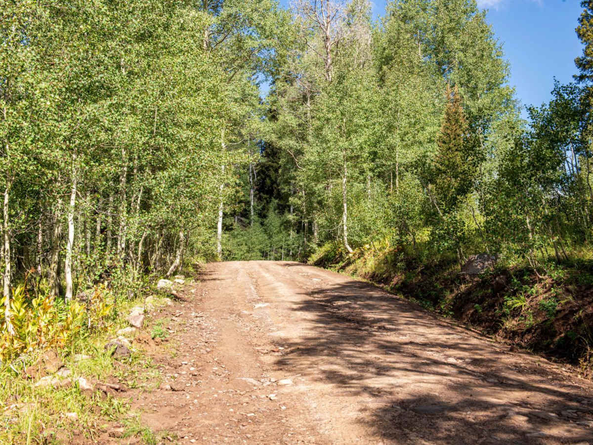 Leroux Creek Road - FS 128 photo 3