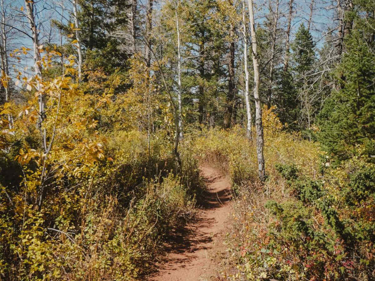 North Fork Cattle Creek Trail photo 3