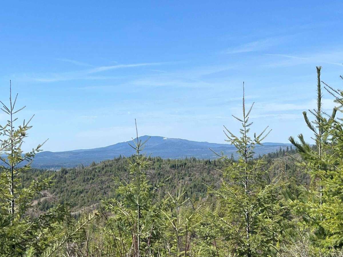 Bing Cherry Trail photo 4