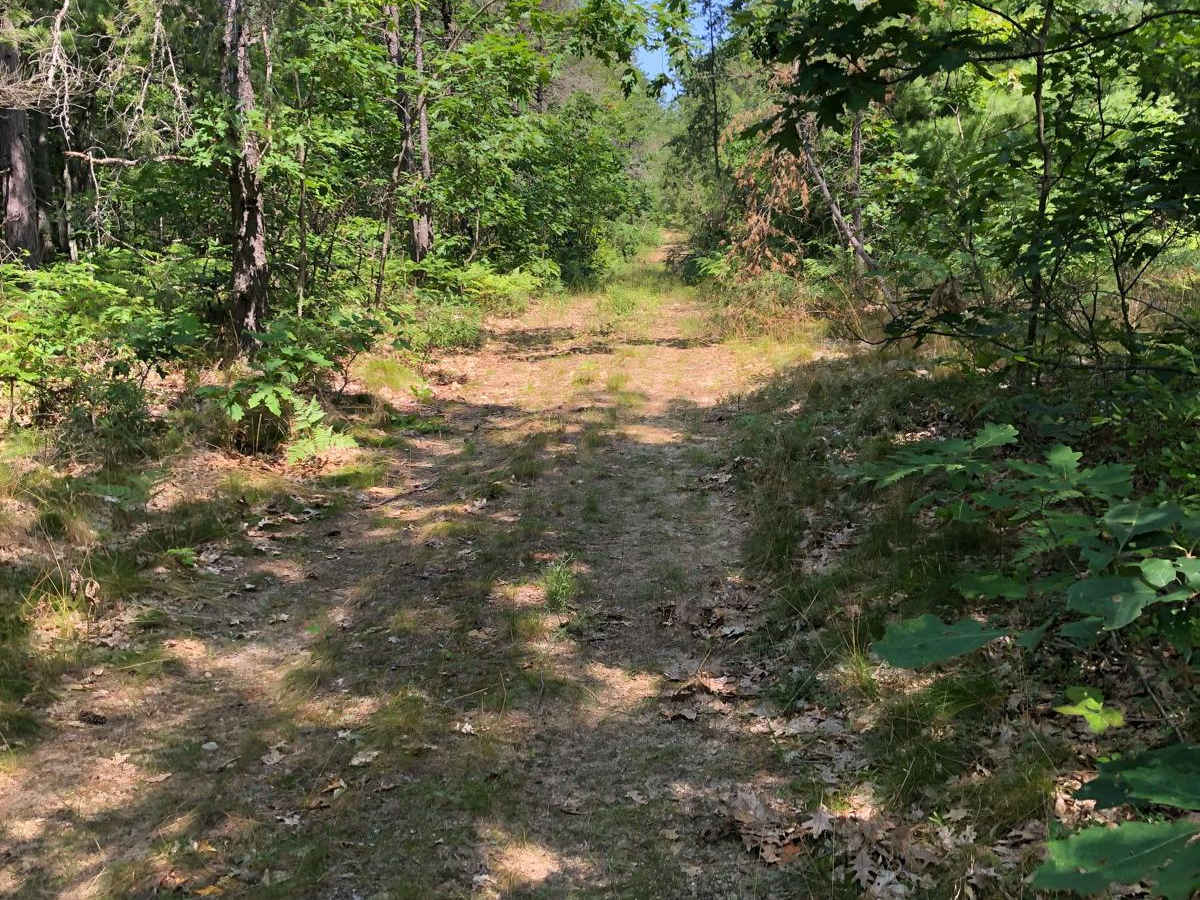 Badger Trail photo 2