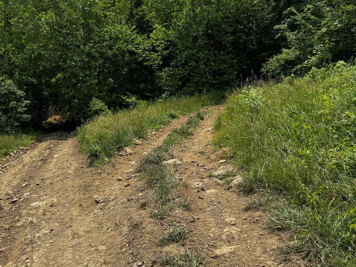 Yellow 97 trail photo