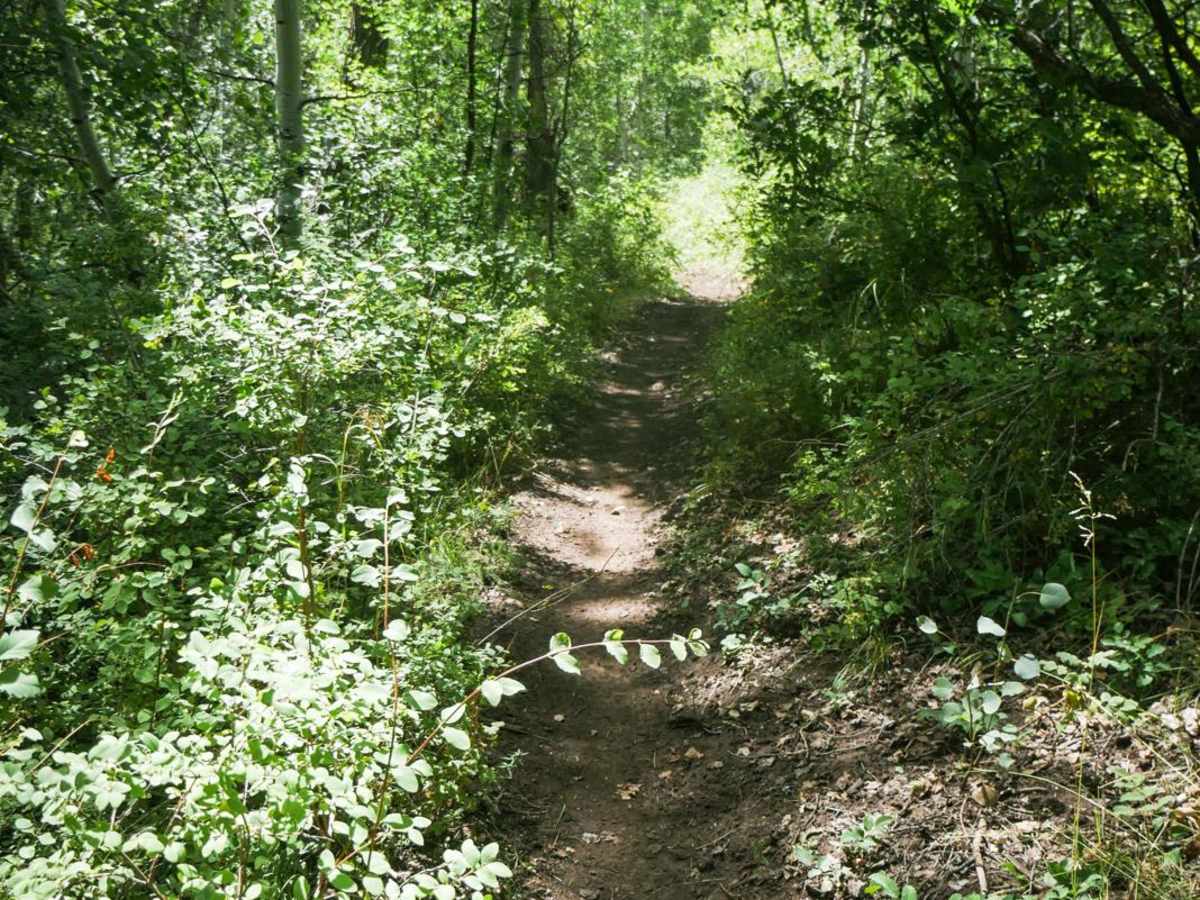 Ramparts Loop photo 3