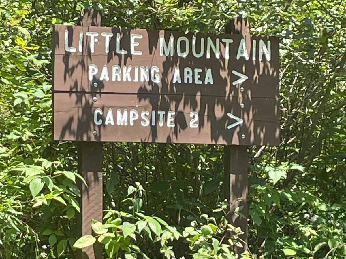 Mile Run Road photo 3