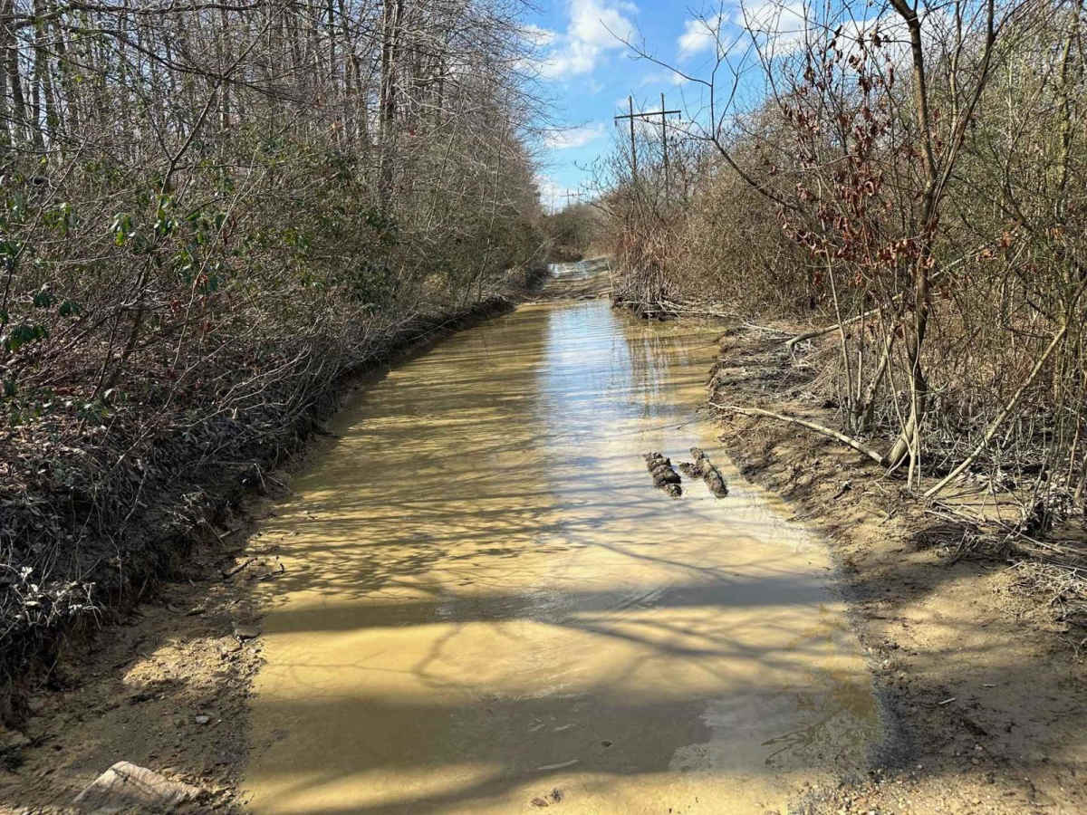 Locust Gap 49 trail photo