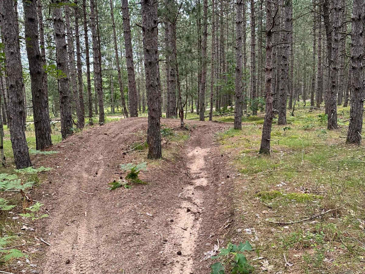 N/E Little Manistee Motorcycle Trail photo 3