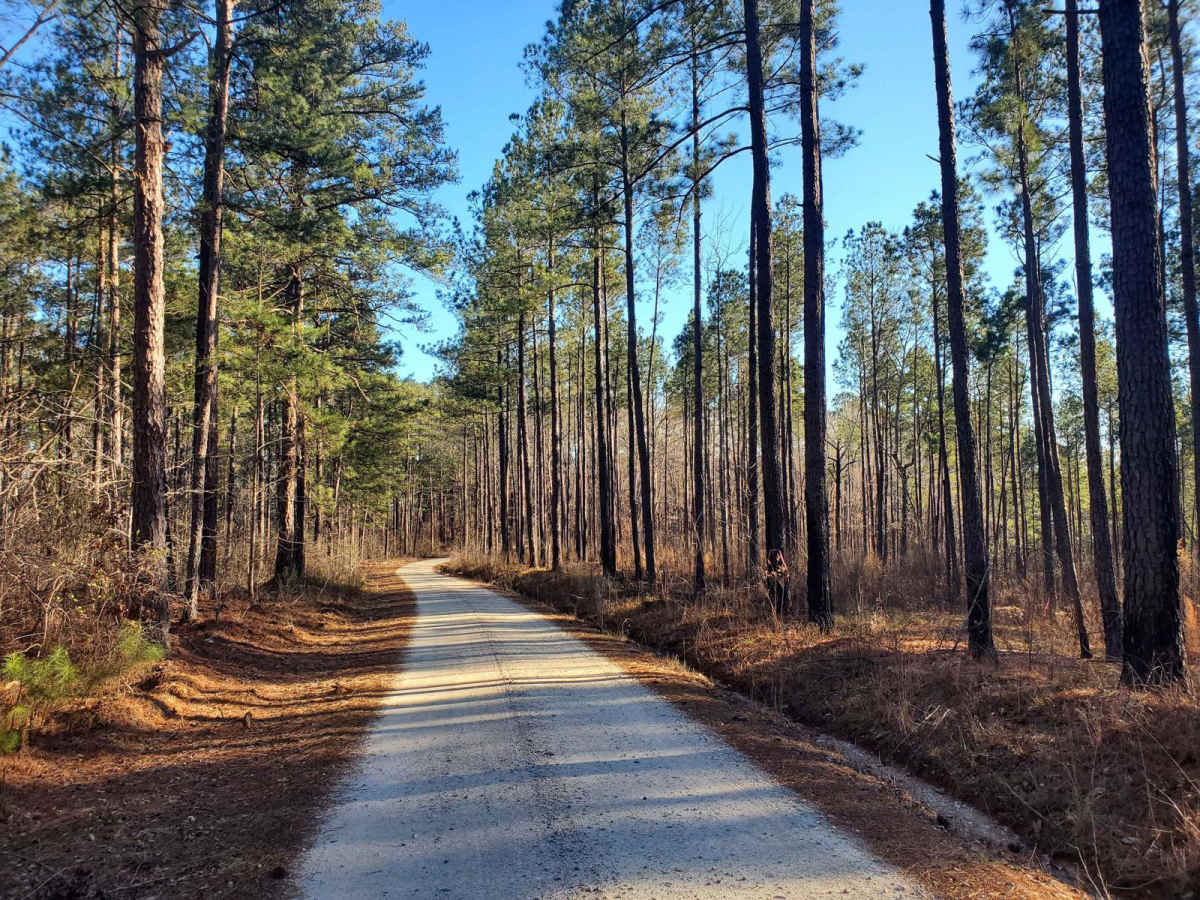 Markert Road (662) trail photo