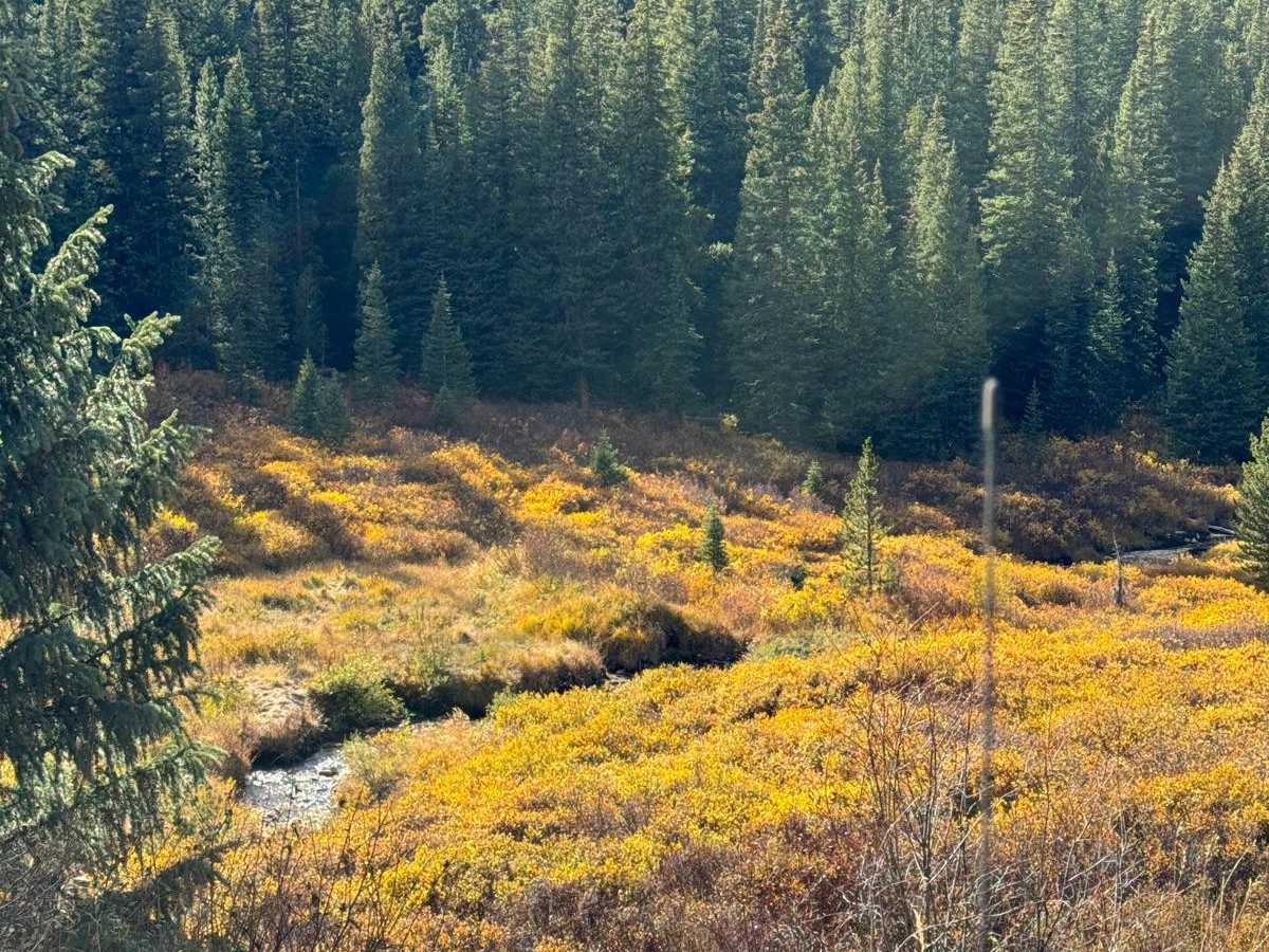 Keystone Gulch Trail photo 6