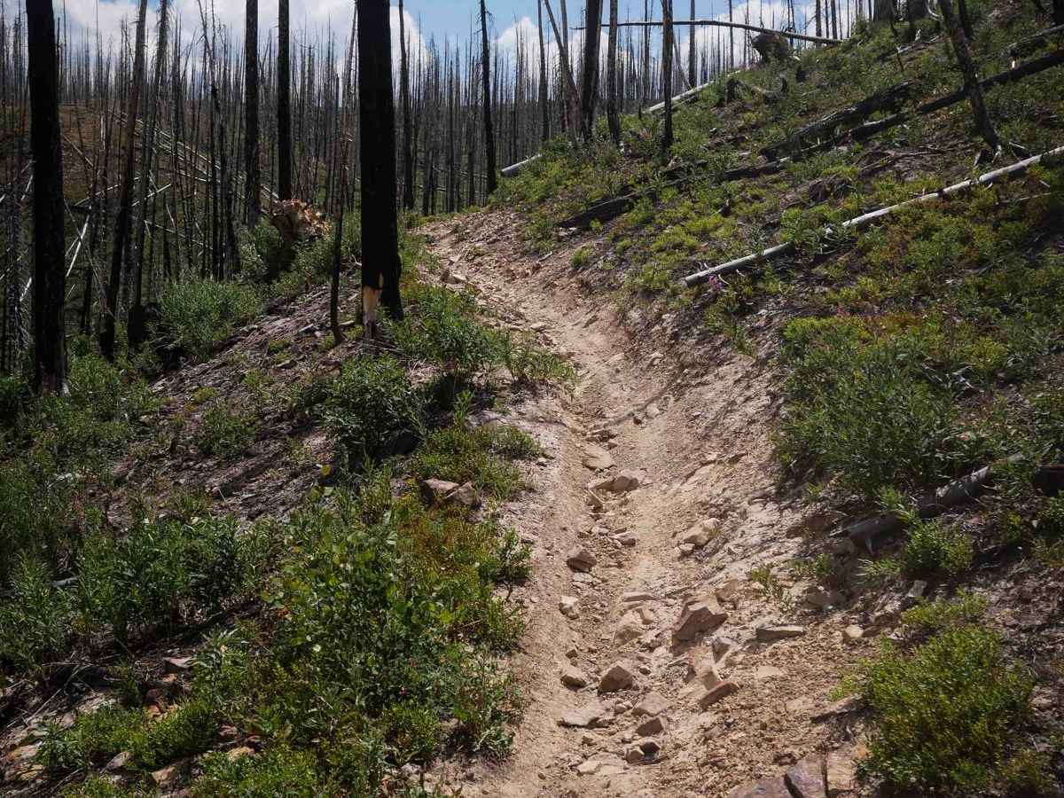 Gilsonite Trail  photo 4