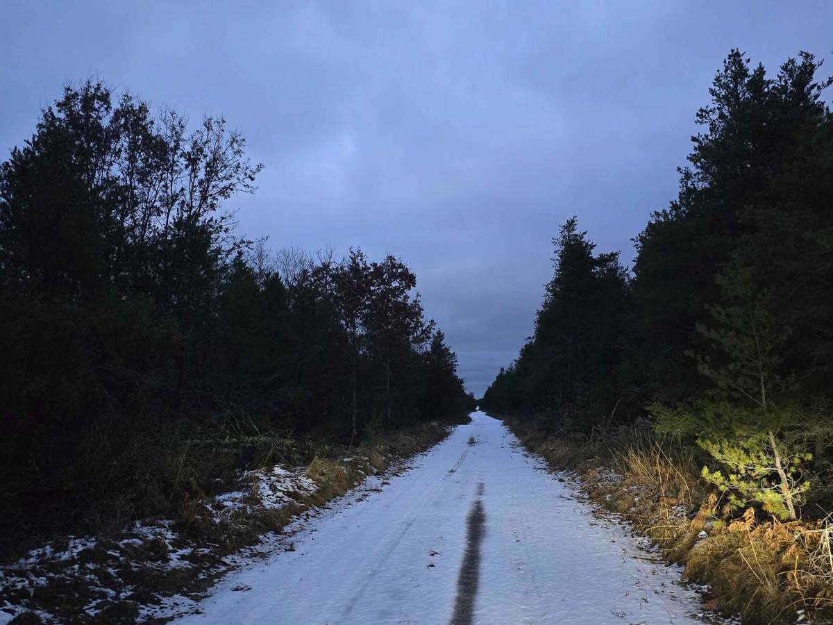 Odessa Road photo 3