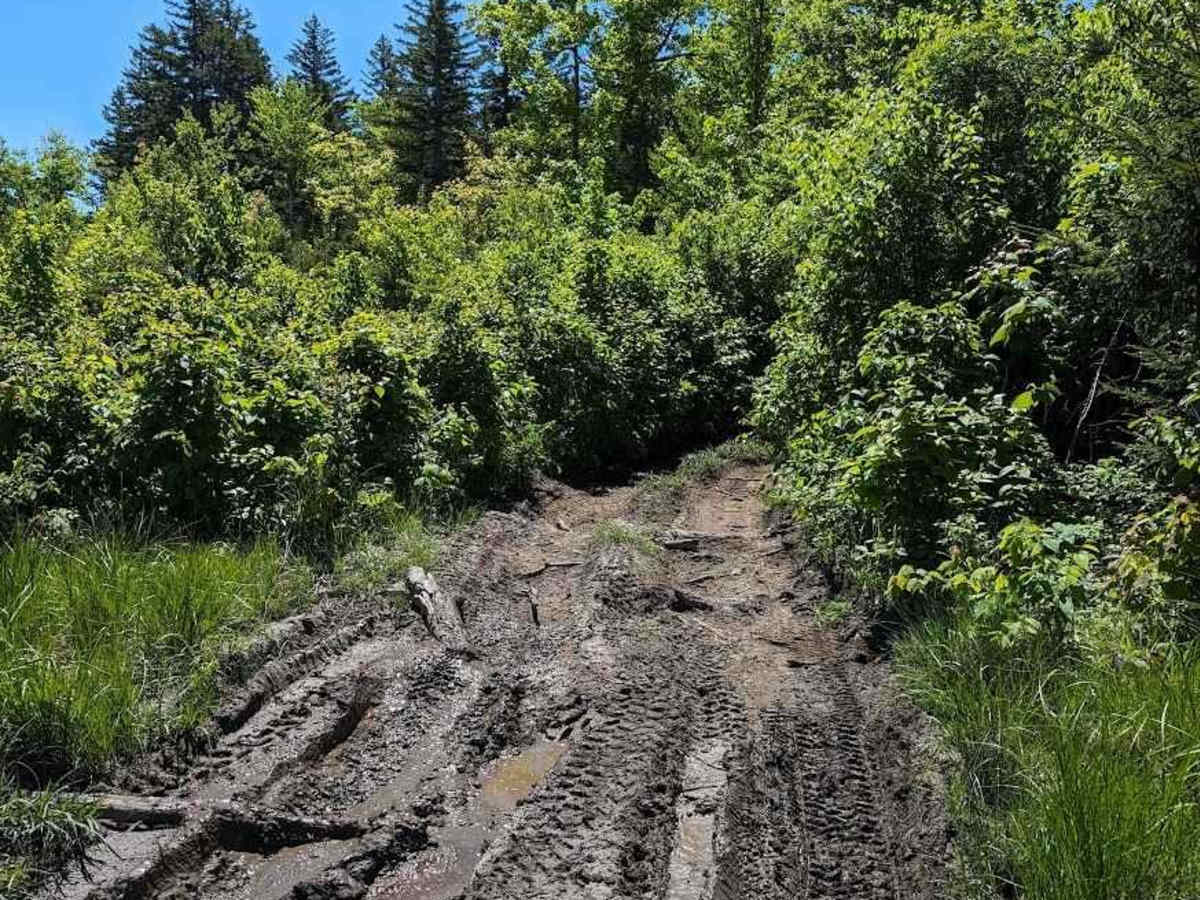 Flat Top Mountain photo 6
