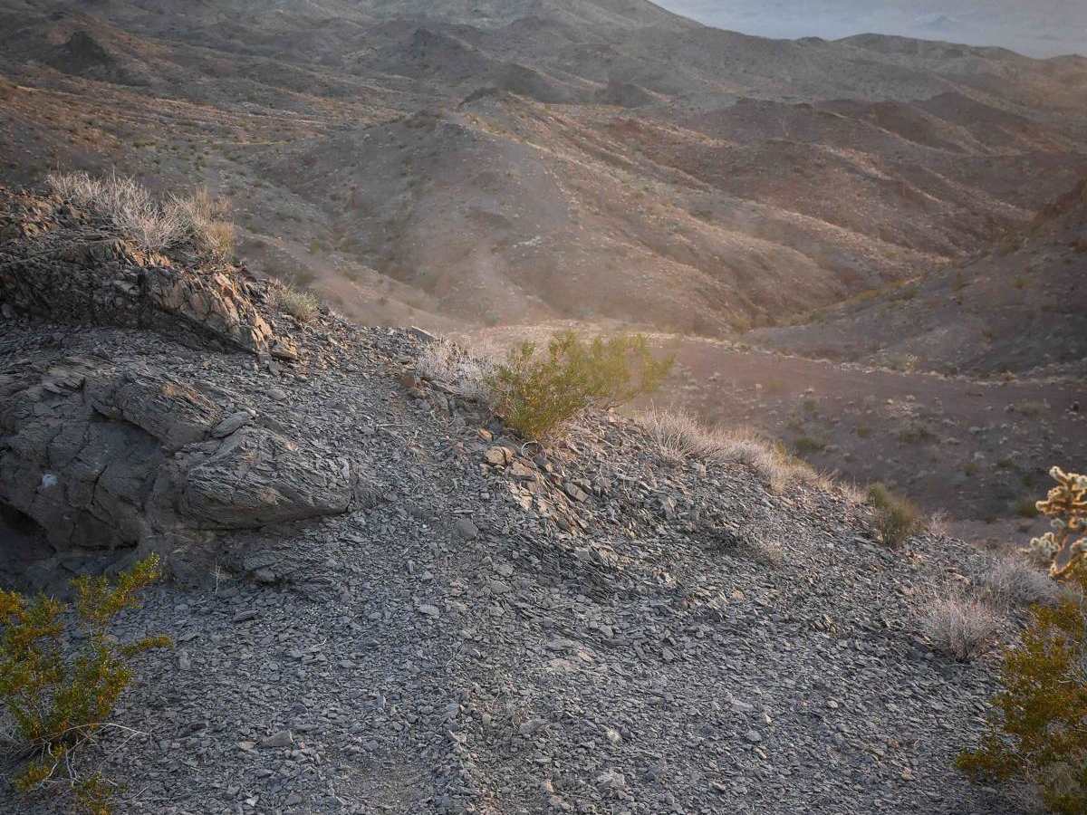 Ridgeline Single Track photo 2