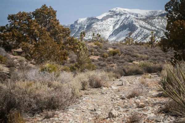 Middle Elk Meadow Part 1