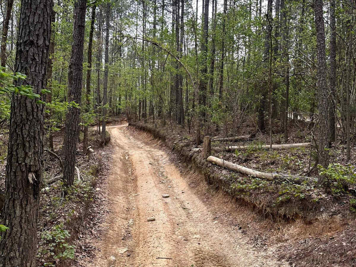 Trail 20 photo 5