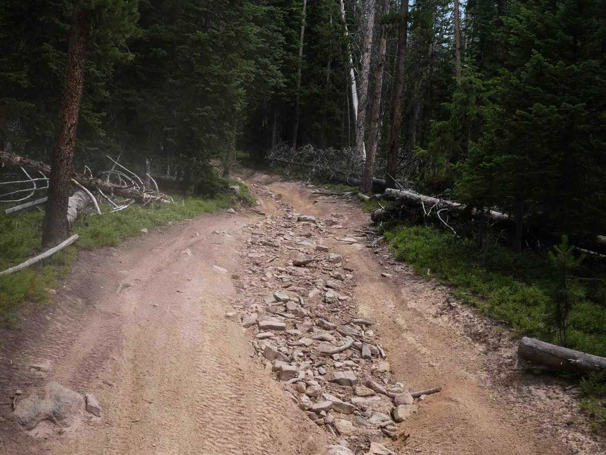 Illinois Pass Trail photo 4