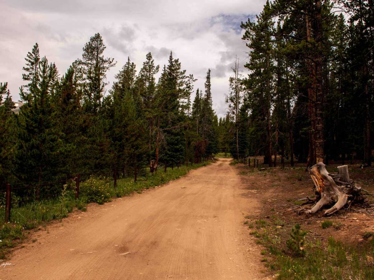 American Gulch Road - FR 567 photo 5