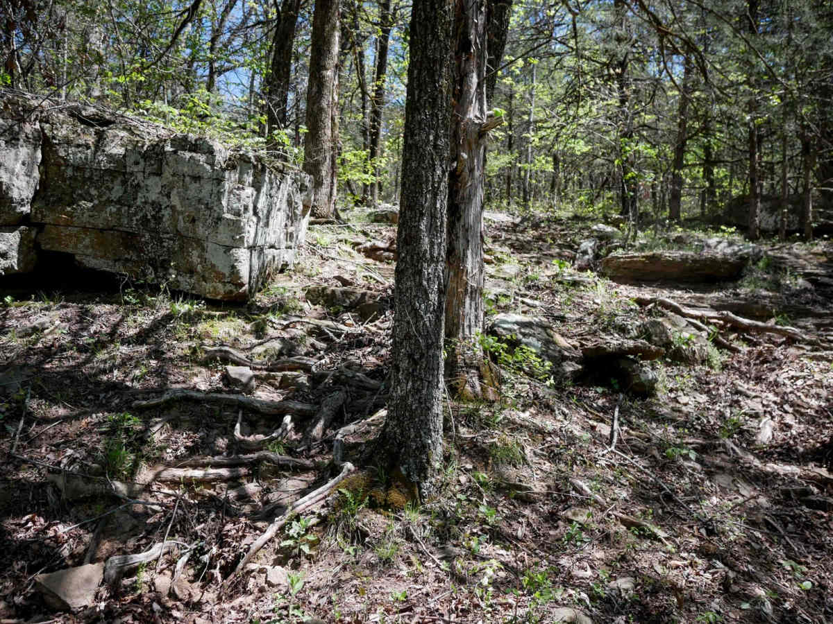 Brock 27 trail photo