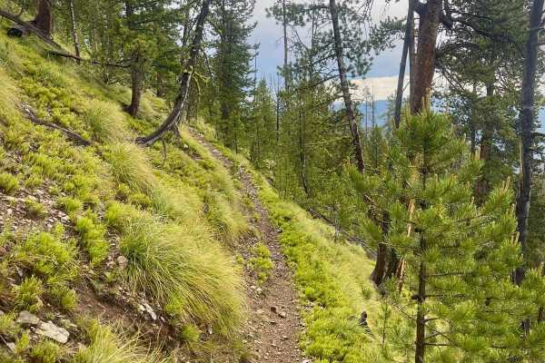 Divide NRT (Ditch Creek to Twin Creek Ridge)