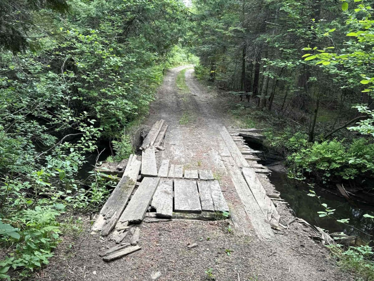 Ozark photo 3