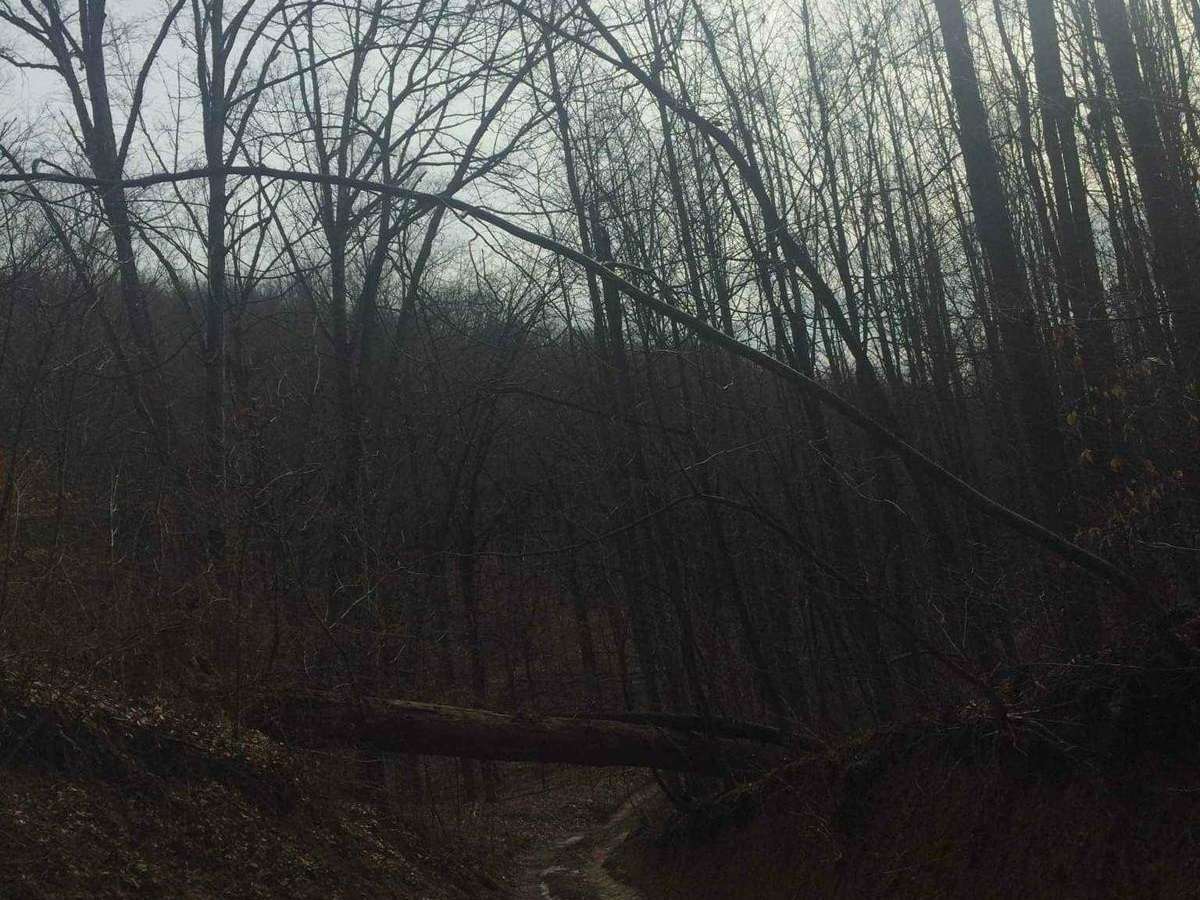 Albright photo 3