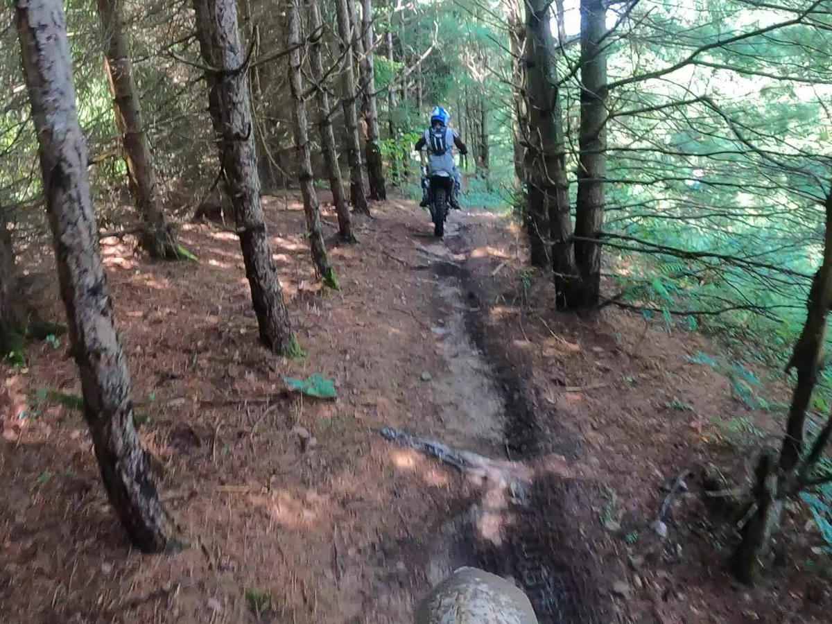 Mountain Ridge ATV Park Singletrack BC photo 5