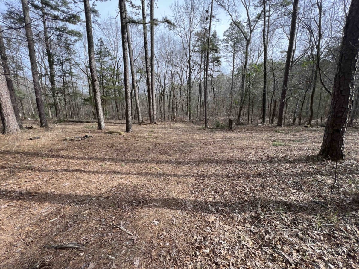 Barnhart Road 796 photo 5