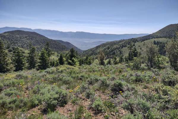 Gold Gulch to Little Pork Lake (FS# 40136)