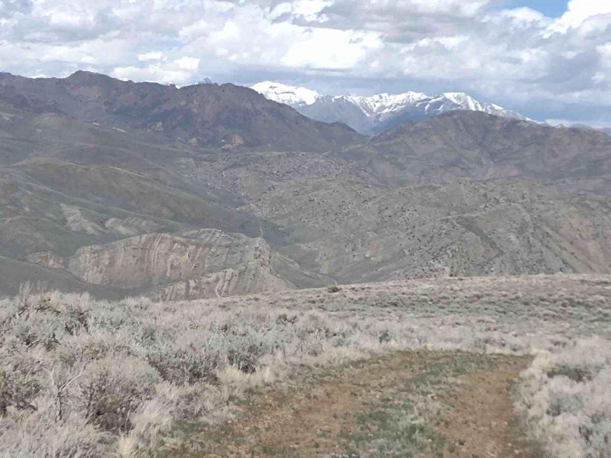 Hammond Canyon to Appendicitis Hill photo 2