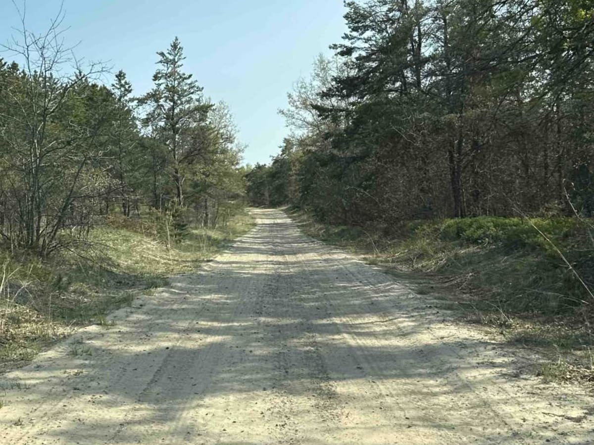 FS 1146 photo 2