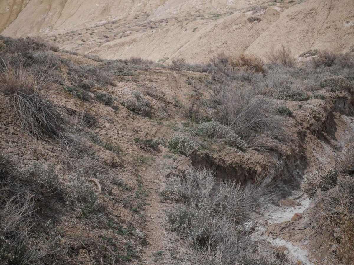 South Landfill Ridge photo 5