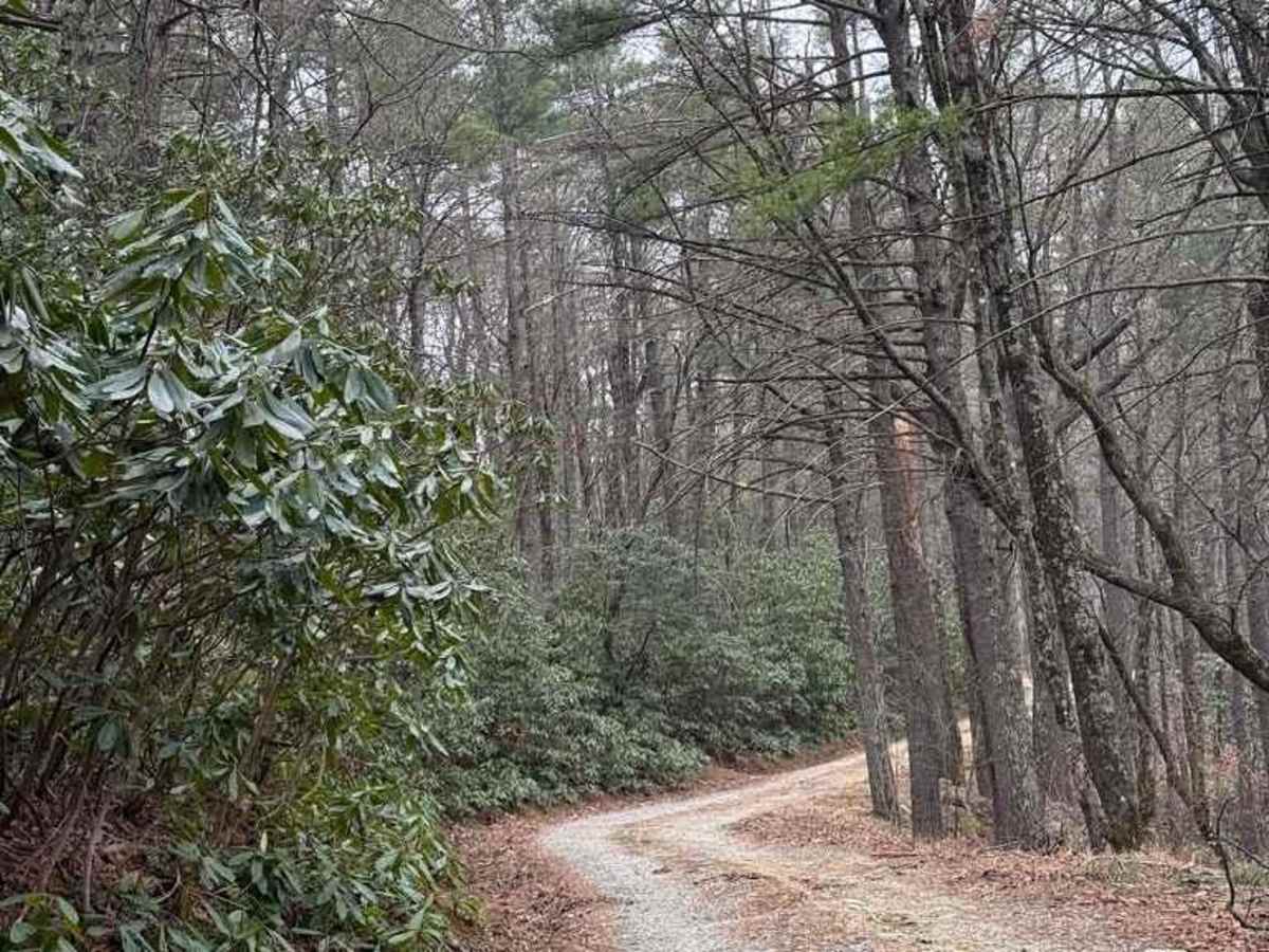North Carolina Outward Bound School Road photo 3
