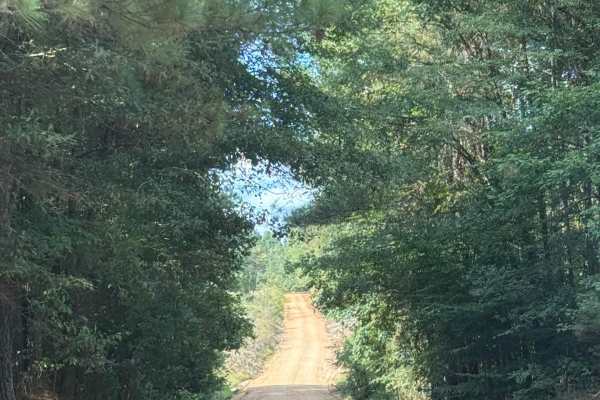 Ricker Road