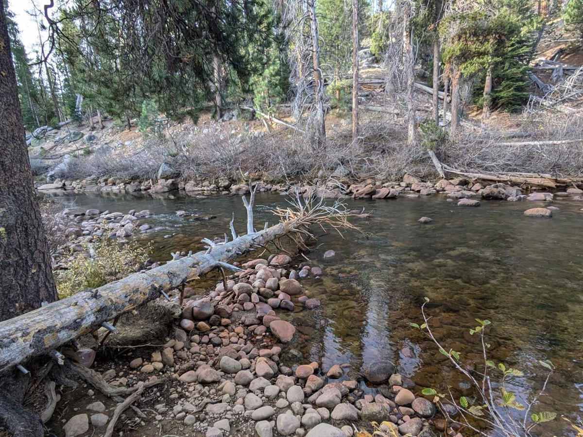 Mono Creek Gauge photo 5