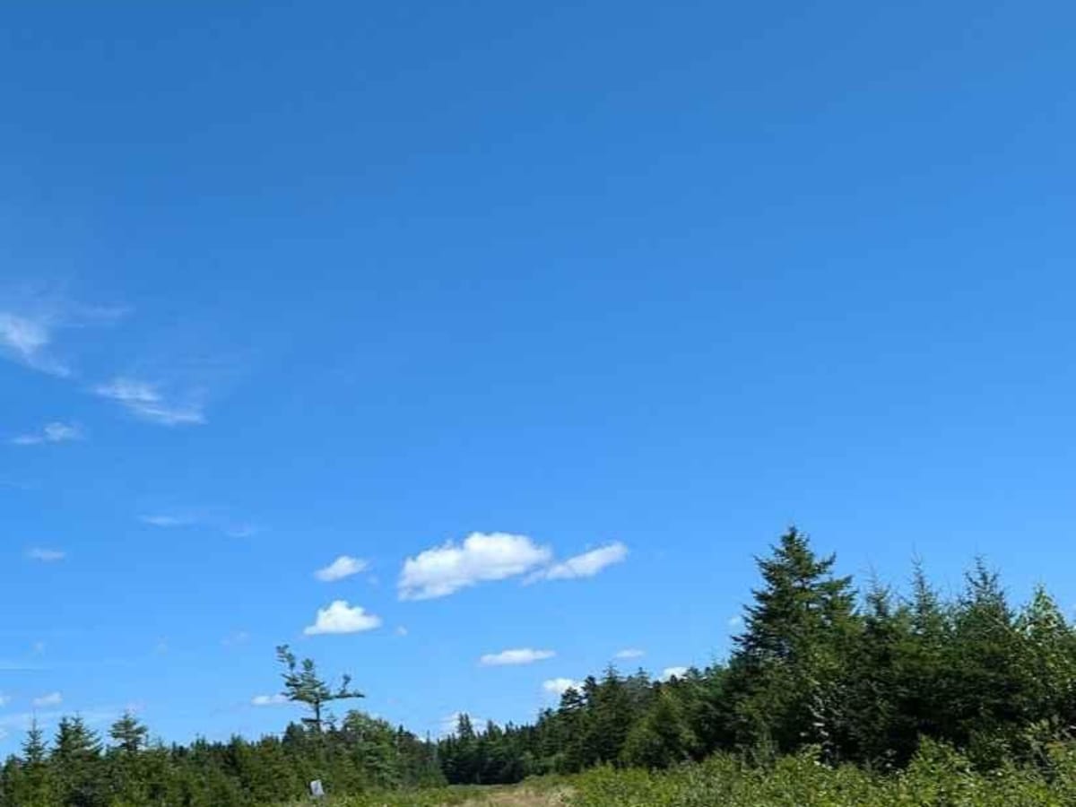 Penniac Gas Line trail photo