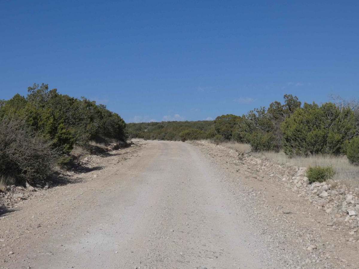 National Livestock Road photo 2