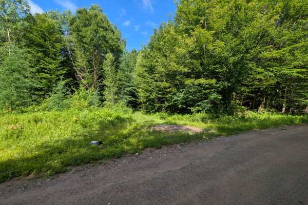 Ormsby Pond Connector
